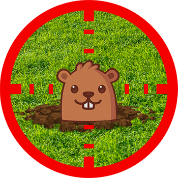 Whack-a-Mole